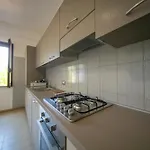 Regina Villaggio 피시오타